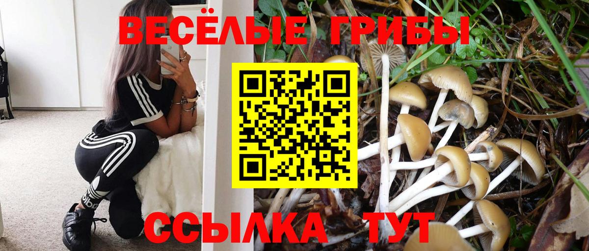 Псилоцибиновые грибы GOLDEN TEACHER Лангепас