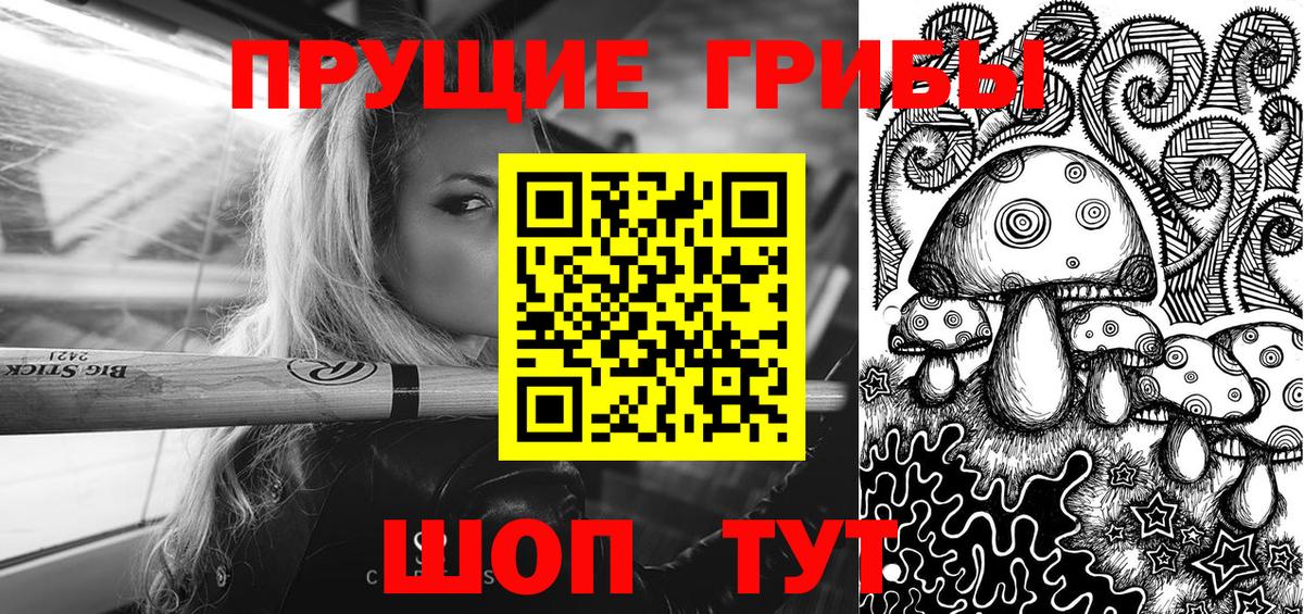 Лангепас  Галлюциногенные грибы Psilocybine cubensis  Вход с VPN 